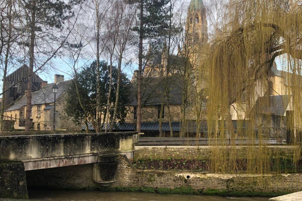 Studio Cocooning Au Pied De La Cathedrale Bayeux Eksteriør billede